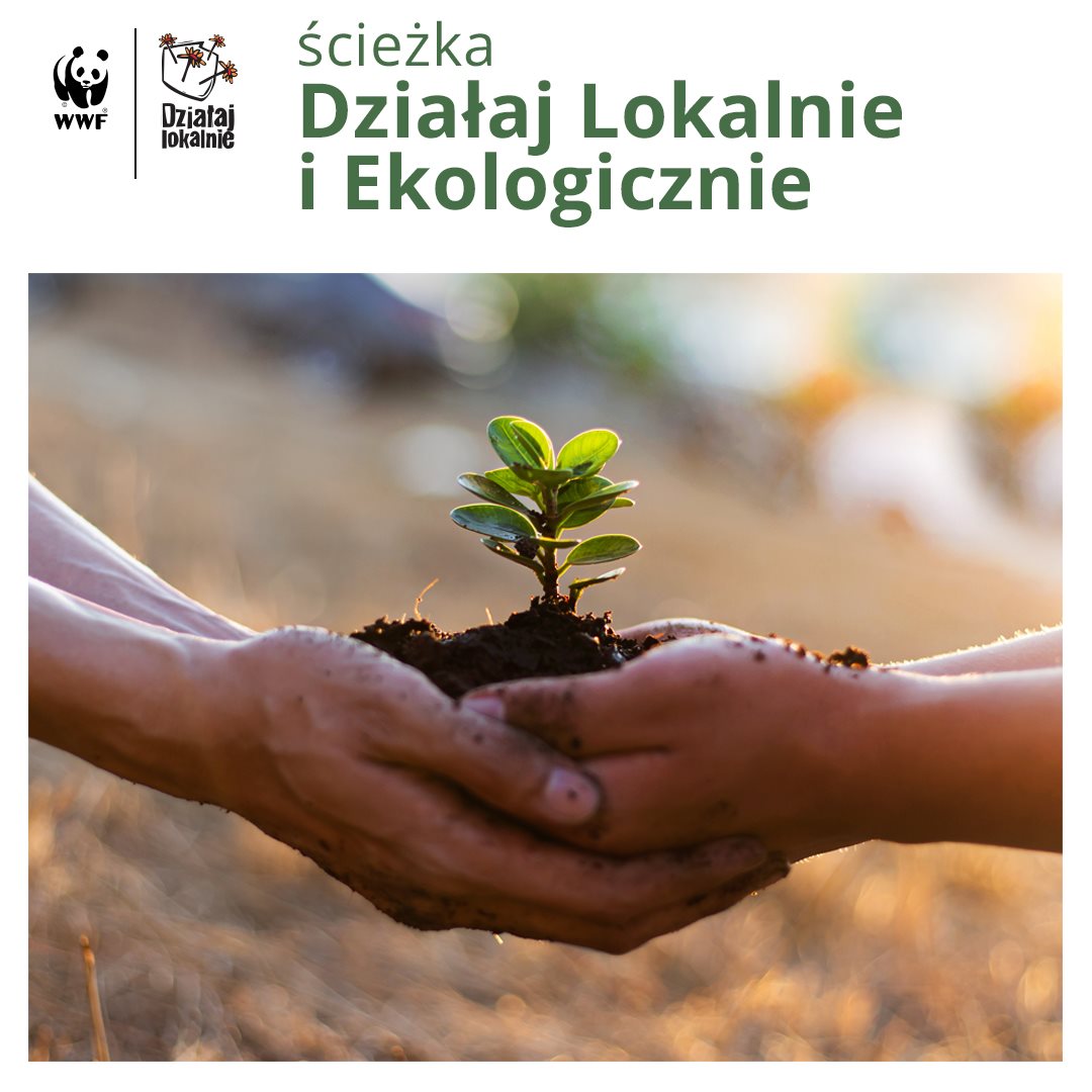 Ikona do artykułu: „Działaj lokalnie i ekologicznie” trwa nabór wniosków!
